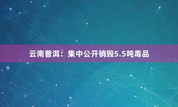 云南普洱：集中公开销毁5.5吨毒品
