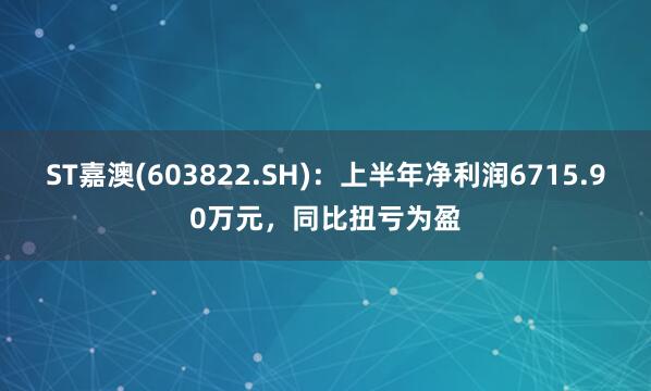 ST嘉澳(603822.SH)：上半年净利润6715.90万元，同比扭亏为盈
