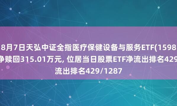 8月7日天弘中证全指医疗保健设备与服务ETF(159873)遭净赎回315.01万元, 位居当日股票ETF净流出排名429/1287