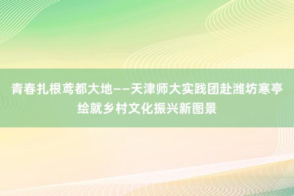 青春扎根鸢都大地——天津师大实践团赴潍坊寒亭绘就乡村文化振兴新图景