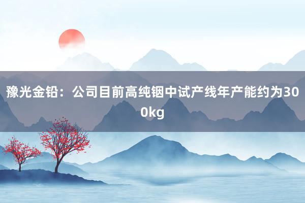 豫光金铅：公司目前高纯铟中试产线年产能约为300kg