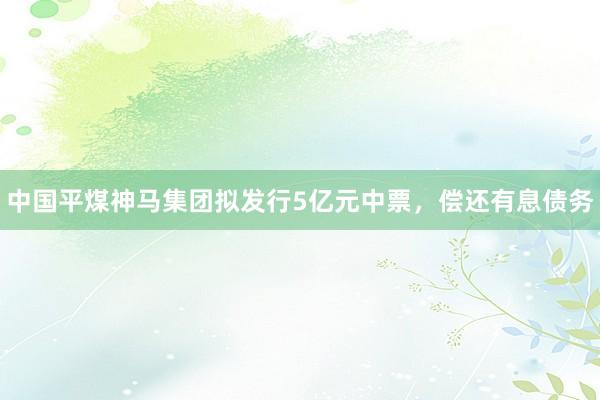 中国平煤神马集团拟发行5亿元中票，偿还有息债务
