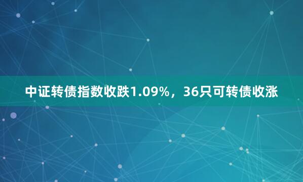中证转债指数收跌1.09%，36只可转债收涨