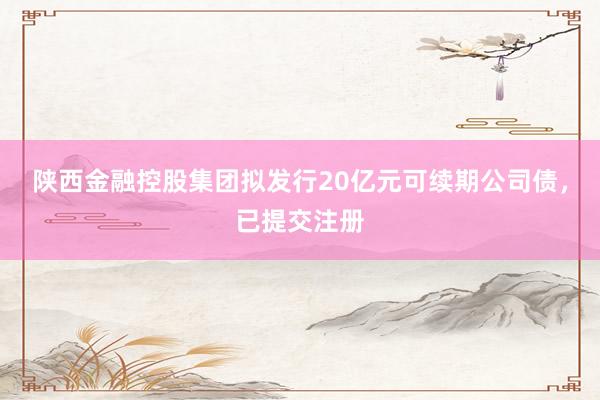 陕西金融控股集团拟发行20亿元可续期公司债，已提交注册