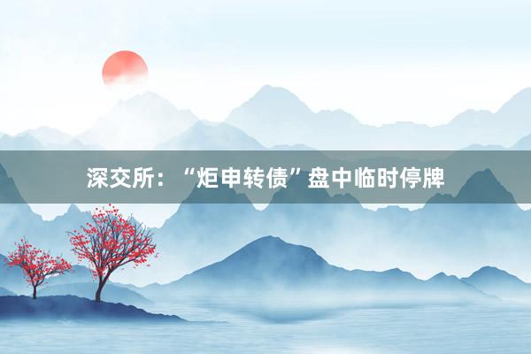 深交所：“炬申转债”盘中临时停牌