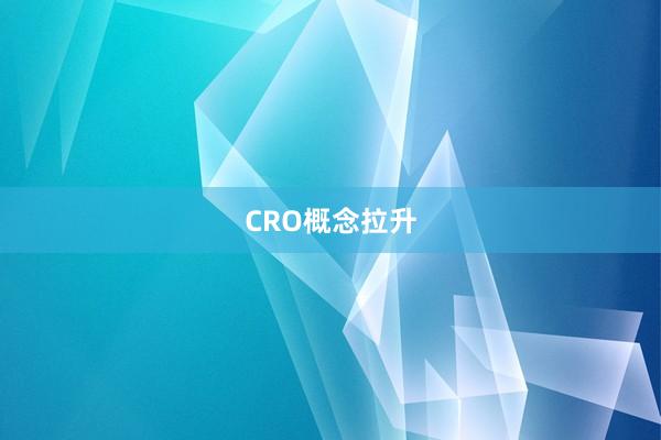 CRO概念拉升