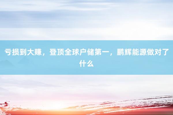 亏损到大赚，登顶全球户储第一，鹏辉能源做对了什么