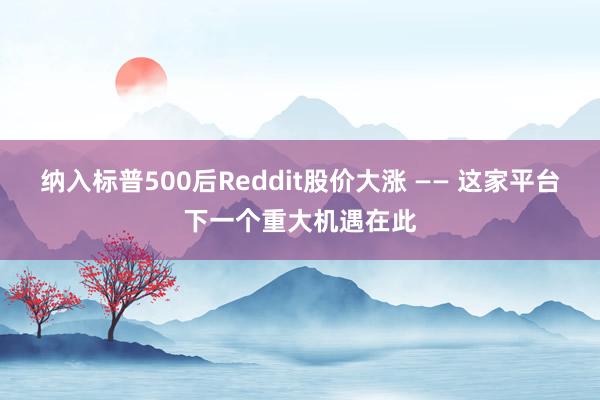 纳入标普500后Reddit股价大涨 —— 这家平台下一个重大机遇在此