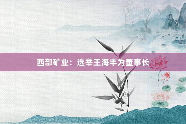 西部矿业：选举王海丰为董事长