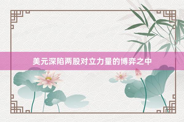 美元深陷两股对立力量的博弈之中