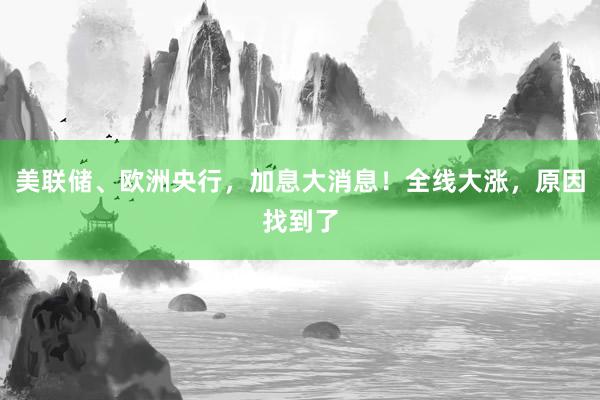 美联储、欧洲央行，加息大消息！全线大涨，原因找到了