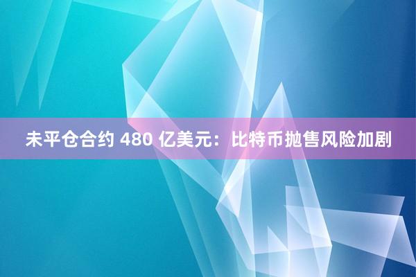 未平仓合约 480 亿美元：比特币抛售风险加剧