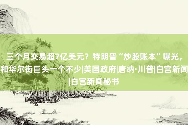 三个月交易超7亿美元？特朗普“炒股账本”曝光，硅谷和华尔街巨头一个不少|美国政府|唐纳·川普|白宫新闻秘书