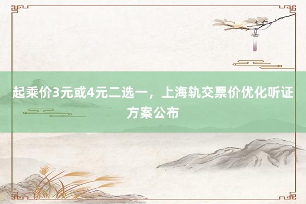 起乘价3元或4元二选一，上海轨交票价优化听证方案公布
