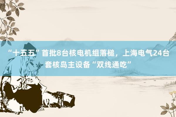 “十五五”首批8台核电机组落槌，上海电气24台套核岛主设备“双线通吃”