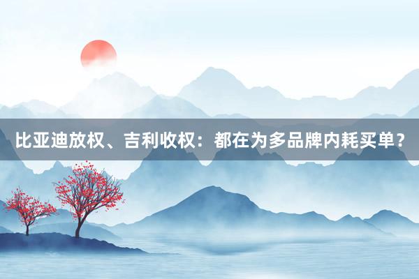 比亚迪放权、吉利收权：都在为多品牌内耗买单？