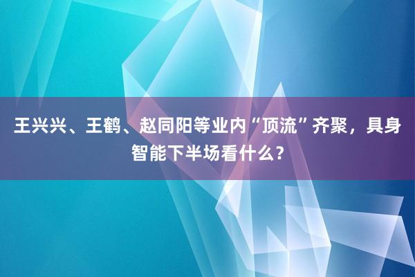 王兴兴、王鹤、赵同阳等业内“顶流”齐聚，具身智能下半场看什么？