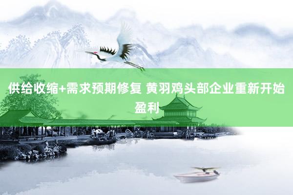 供给收缩+需求预期修复 黄羽鸡头部企业重新开始盈利