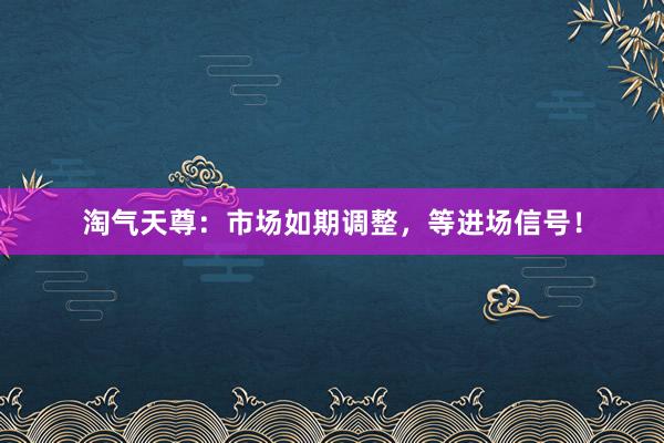 淘气天尊：市场如期调整，等进场信号！