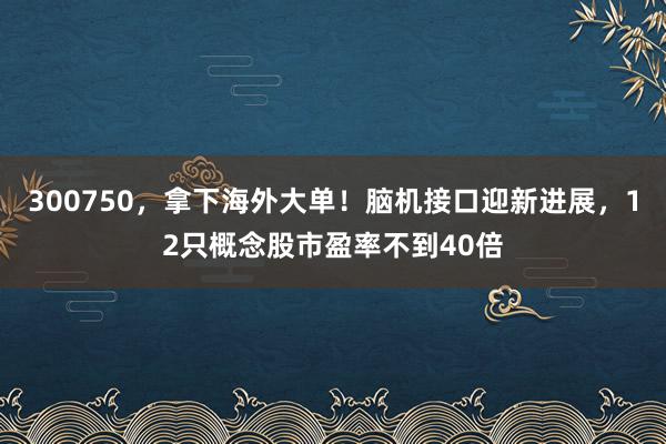 300750，拿下海外大单！脑机接口迎新进展，12只概念股市盈率不到40倍