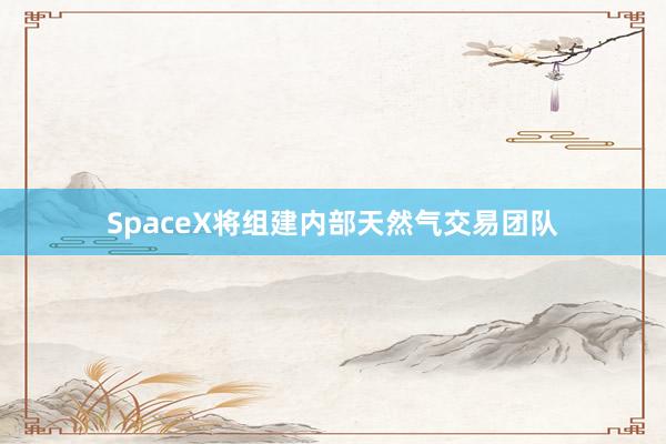 SpaceX将组建内部天然气交易团队