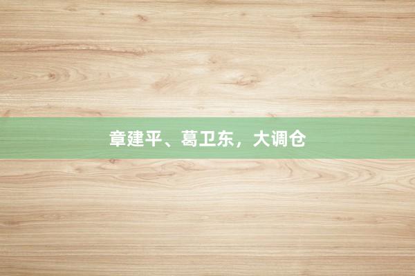 章建平、葛卫东,大调仓