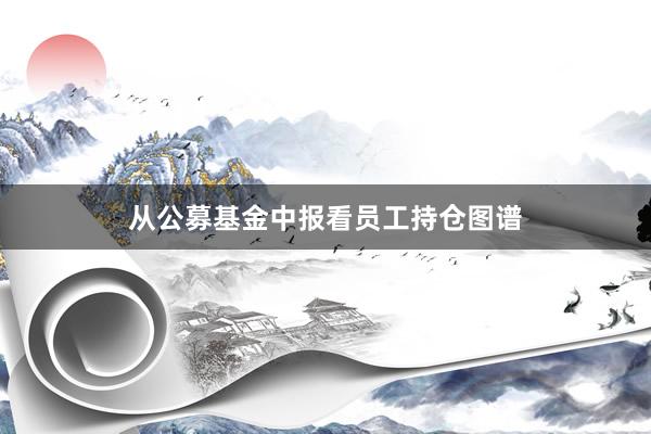 从公募基金中报看员工持仓图谱