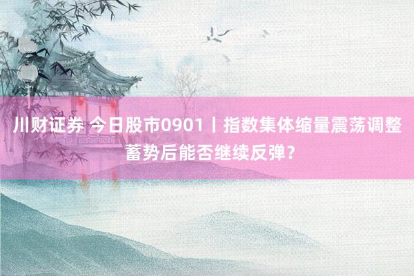 川财证券 今日股市0901丨指数集体缩量震荡调整 蓄势后能否继续反弹？