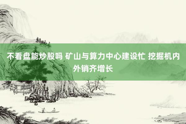 不看盘能炒股吗 矿山与算力中心建设忙 挖掘机内外销齐增长