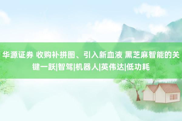 华源证券 收购补拼图、引入新血液 黑芝麻智能的关键一跃|智驾|机器人|英伟达|低功耗