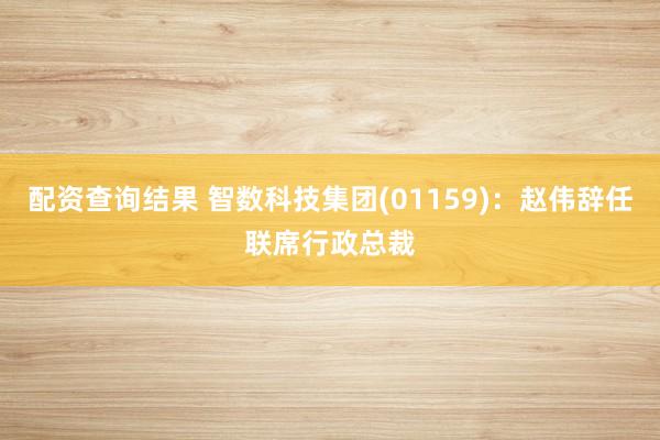 配资查询结果 智数科技集团(01159)：赵伟辞任联席行政总裁