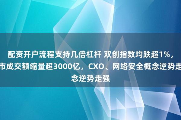 配资开户流程支持几倍杠杆 双创指数均跌超1%，两市成交额缩量超3000亿，CXO、网络安全概念逆势走强