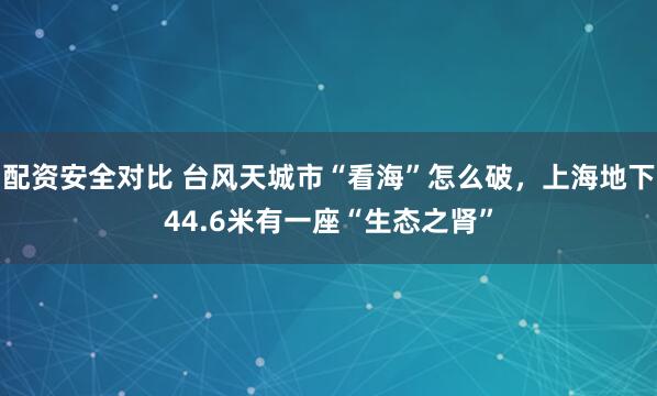配资安全对比 台风天城市“看海”怎么破，上海地下44.6米有一座“生态之肾”