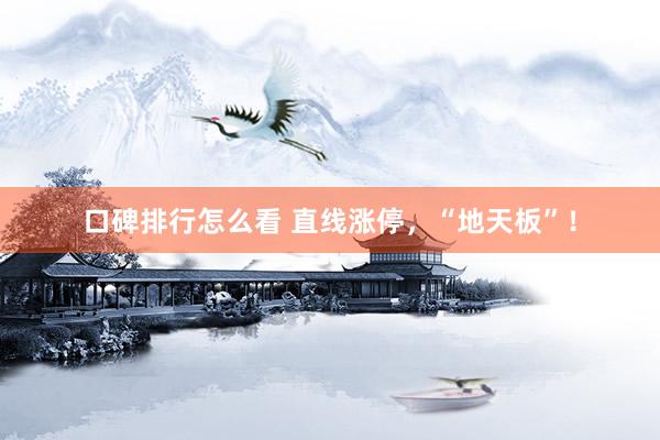 口碑排行怎么看 直线涨停，“地天板”！