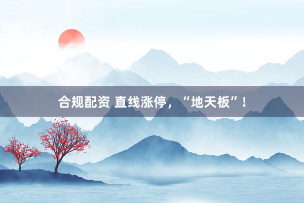 合规配资 直线涨停，“地天板”！