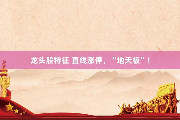 龙头股特征 直线涨停，“地天板”！