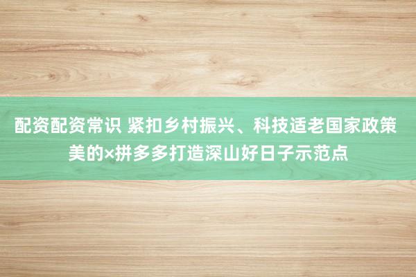 配资配资常识 紧扣乡村振兴、科技适老国家政策 美的×拼多多打造深山好日子示范点