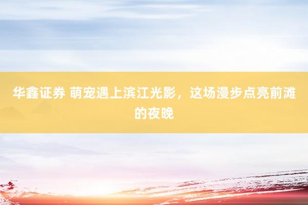 华鑫证券 萌宠遇上滨江光影，这场漫步点亮前滩的夜晚