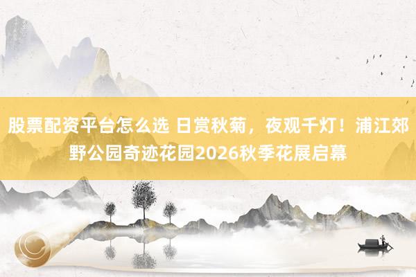 股票配资平台怎么选 日赏秋菊，夜观千灯！浦江郊野公园奇迹花园2026秋季花展启幕