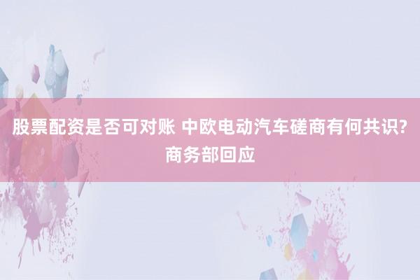 股票配资是否可对账 中欧电动汽车磋商有何共识?商务部回应